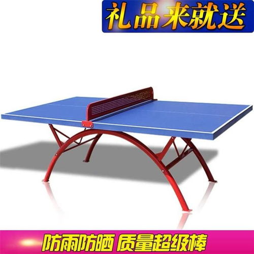 重庆源头大彩虹乒乓球台 品质之选，专注行业制造