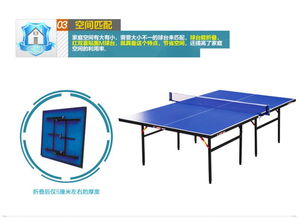 红双喜DHS TM3626家用可折叠标准乒乓球台 家庭娱乐与健身的理想之选